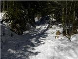 Planina Blato - Mala Tičarica